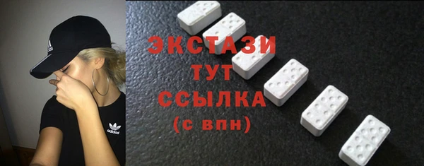 индика Магас