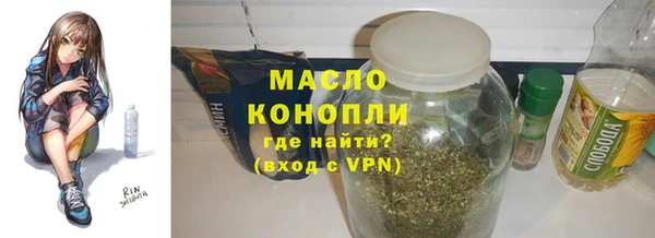индика Янаул