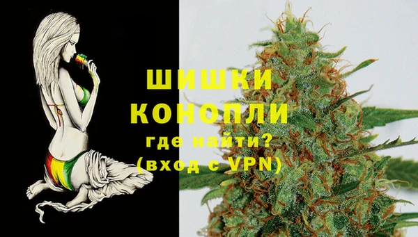 стафф Горно-Алтайск