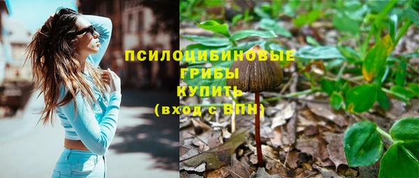 стафф Горнозаводск