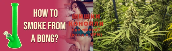 амф Мегион
